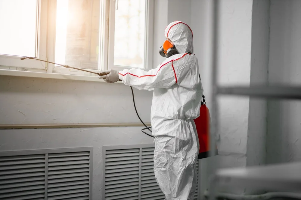 Professional mold remediation services in George West, TX